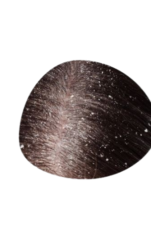 medi-removebg-preview